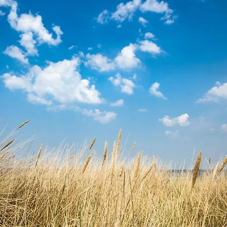 Nickel Heringsdorf (Usedom)